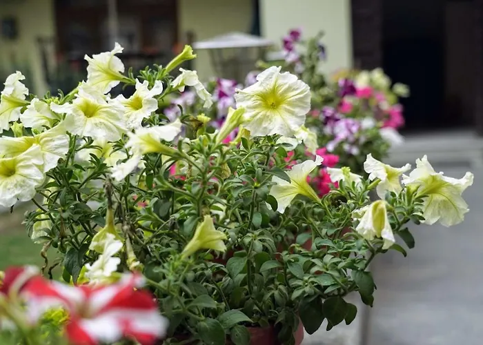 Garden Hotel Kathmandu